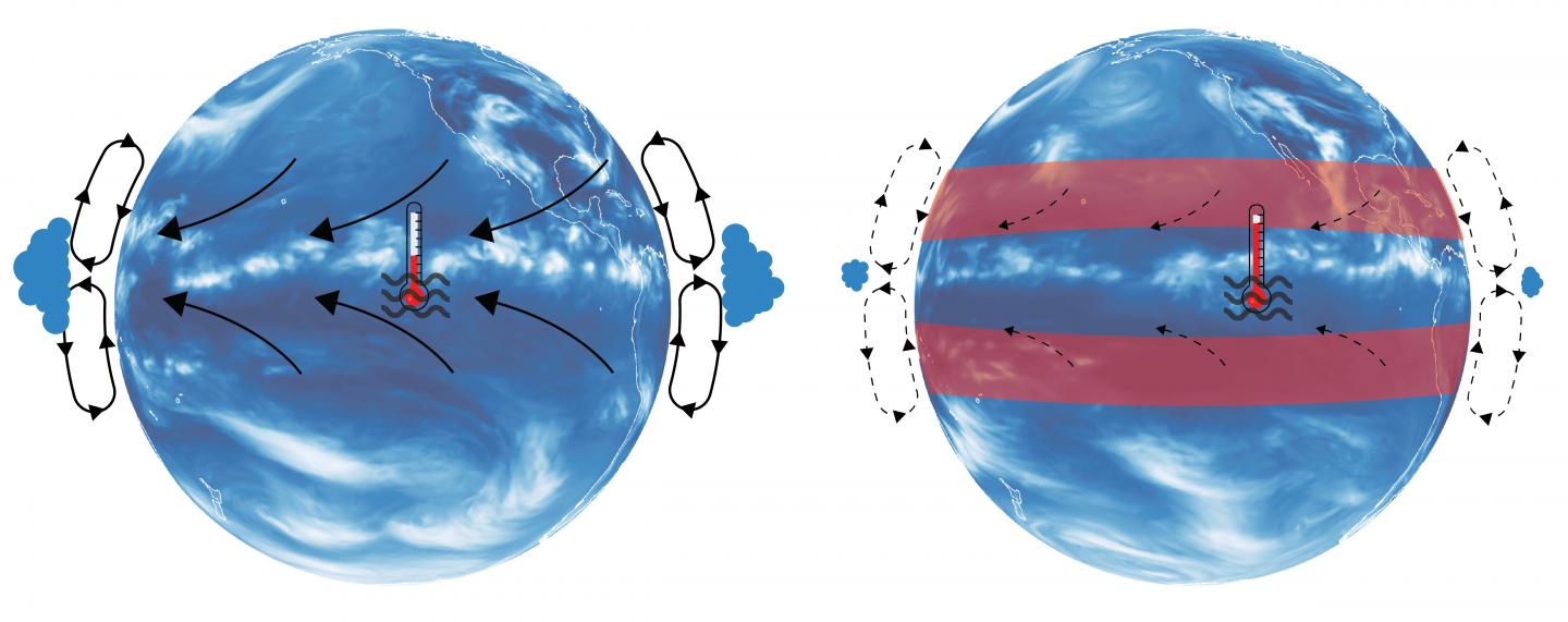 Future subtropical warming accelerates tropic | EurekAlert!