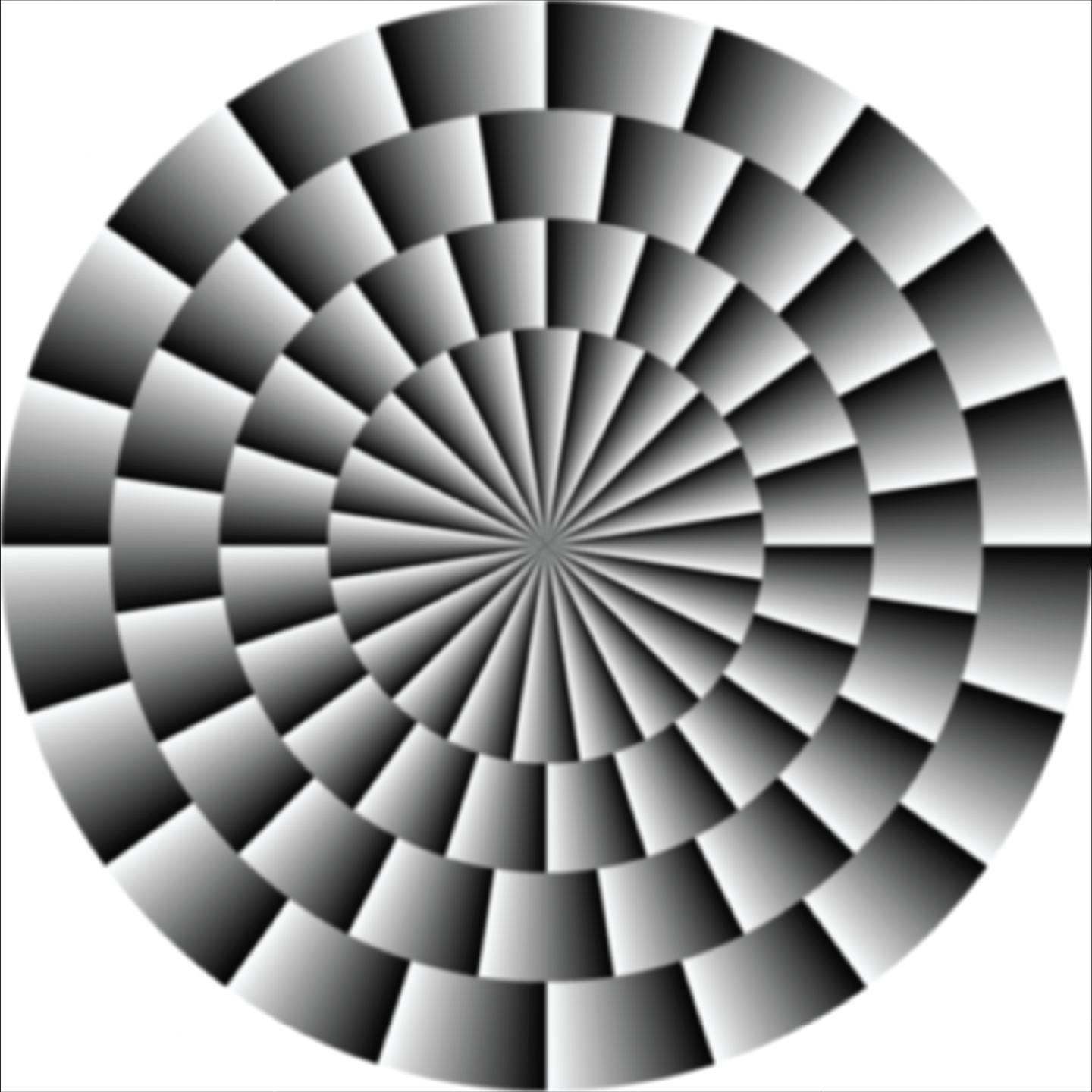 Fraser-Wilcox Illusion