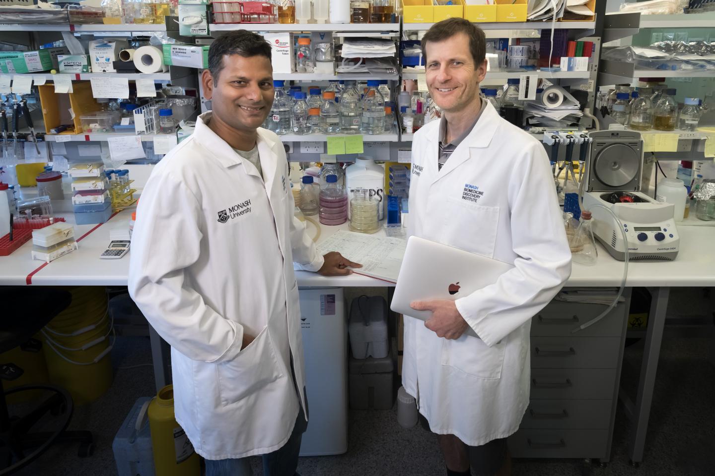 Dr. Pankaj Deo and Dr. Thomas Naderer, Monash Biomedicine Discovery Institute