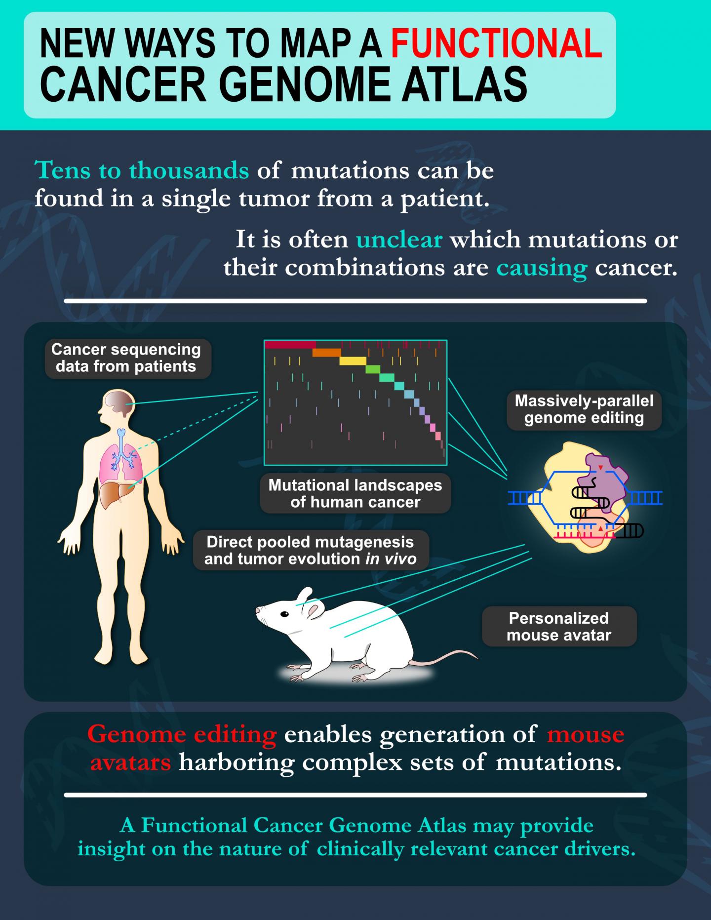 Mapping the Mutational Landscape of Tumors Using a New CRISPR Approach (1 of 2)