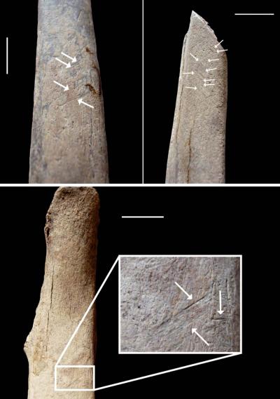 The Last of the Neandertals? (9 of 13)