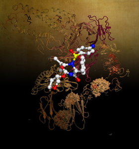 Gamma Delta T Cell receptor interacting with MR1