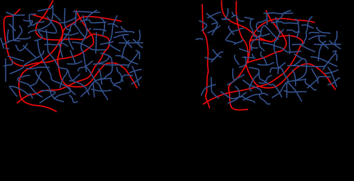 Double Network Structure