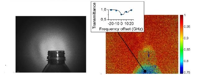 Hyperspectral Dual-Comb Imaging