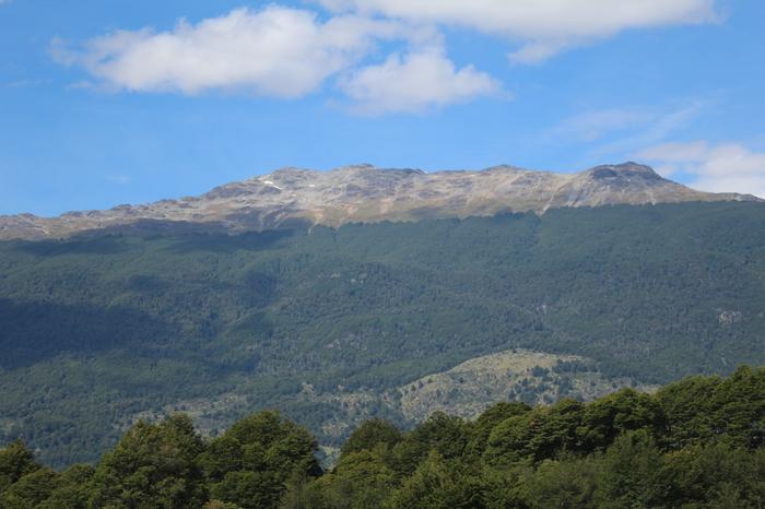 Wild yeasts from Patagonia could yield new flavors of lagers