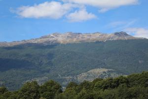 Wild yeasts from Patagonia could yield new flavors of lagers