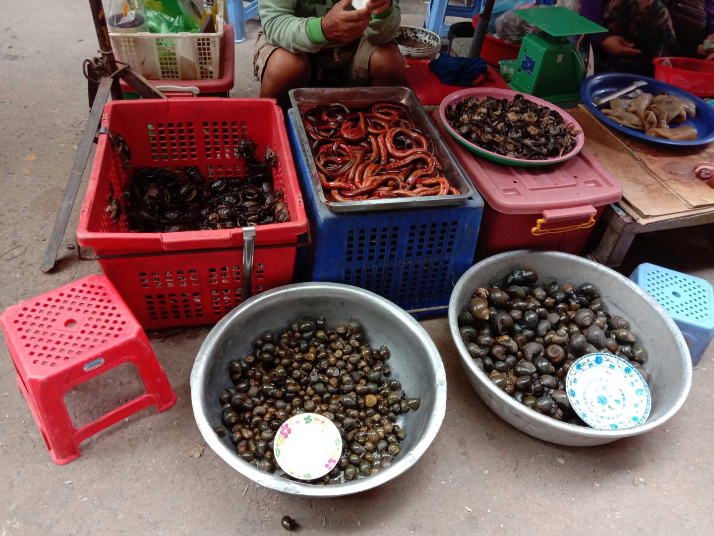 Market scene