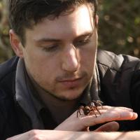Jeremy Wilson Catches Spiders for a Living