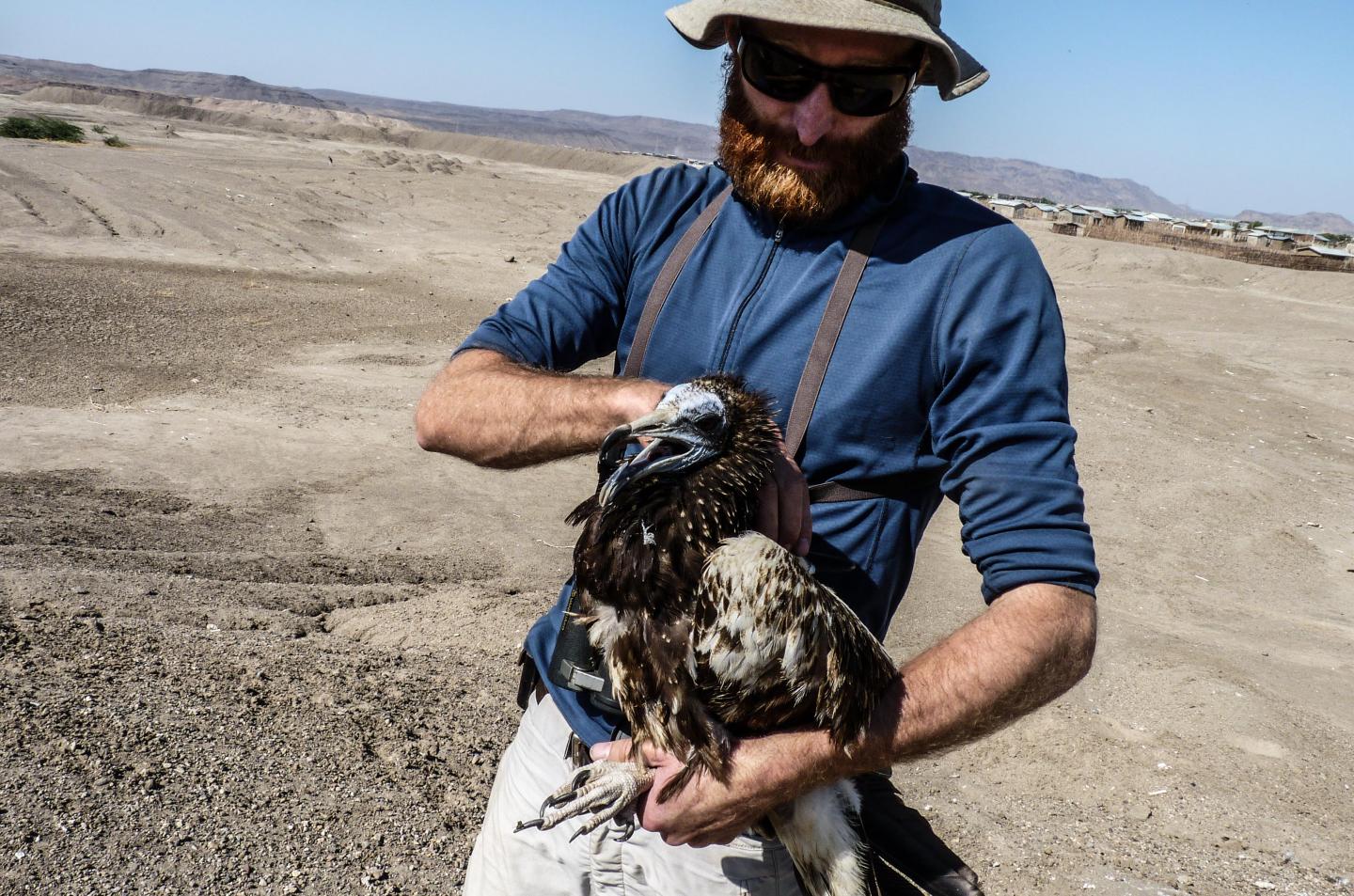 Evan Buechley, University of Utah
