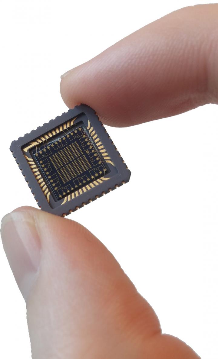 Experimental Chip