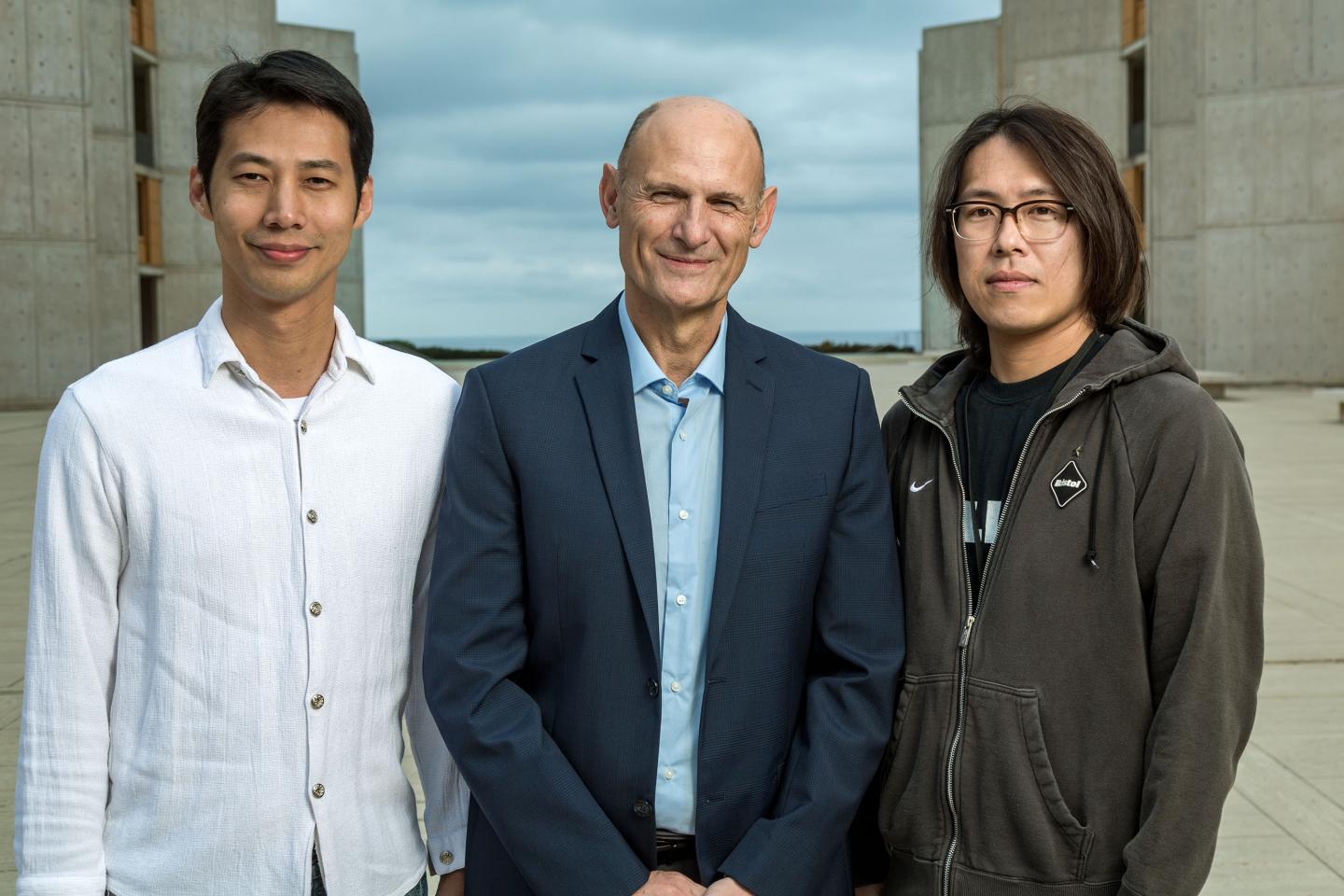 Salk Institute Scientists Redesign CRISPR