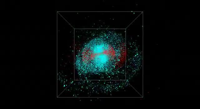 Simulation of the Merger of Two Galaxies