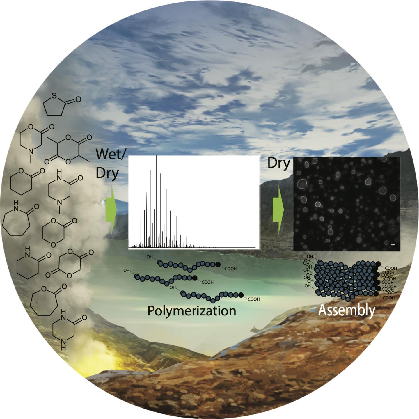 Polymers and Cell-Like Structures Made from Primitive Non-Biological Compounds