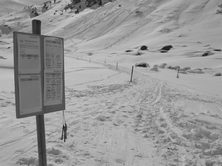 Risk of Being Involved in an Avalanche Less for Smaller Groups of Recreationists