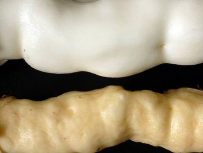 Cassava Roots High in Provitamin A