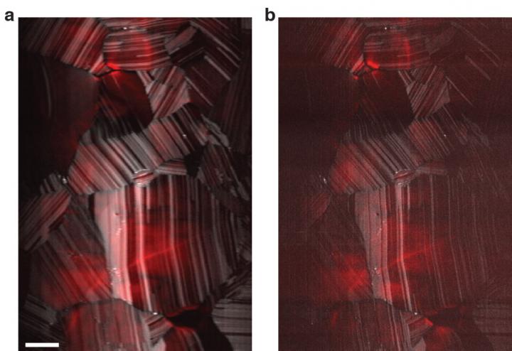 Cadmium-Telluride Solar Cells