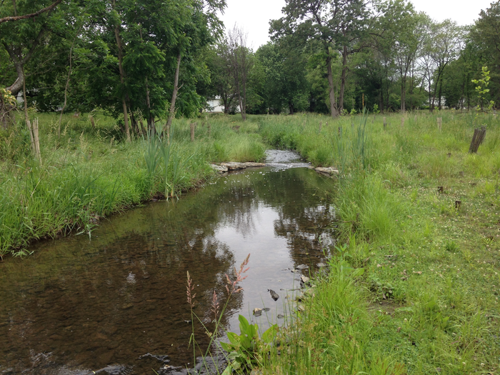 Tom Doody_Scotts Level restored_v1