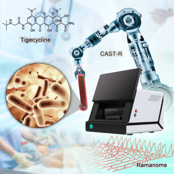 The automated CAST-R workflow supports rapid and accurate treatment of pathogen infections in clinics