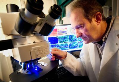 Peter McKinnon, St. Jude Children's Research Hospital