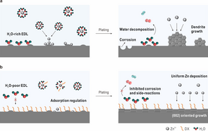 Novel Method Developed to Stabilize Zinc-ion Batteries