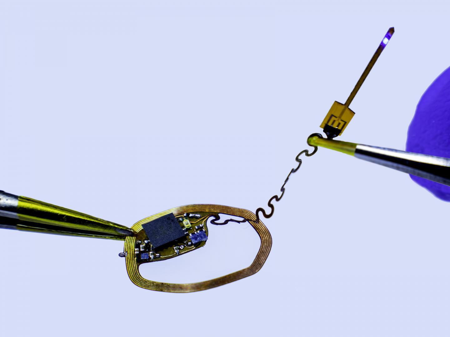 Capturing Neuron Activity