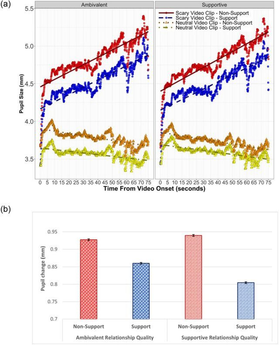 Married couples in supportive relationships felt significantly less stressed while watching horror movie clips with their partner than without, as measured by pupil dilation
