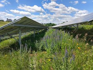 solar farm