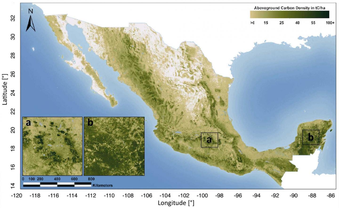Aboveground Biomass Mexico