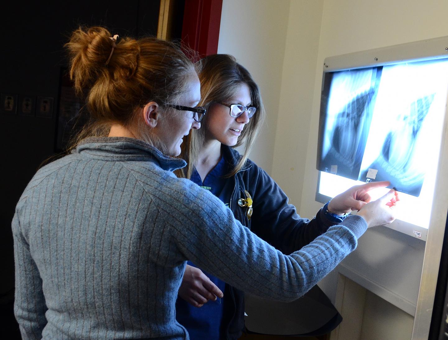 Radiographs Examination