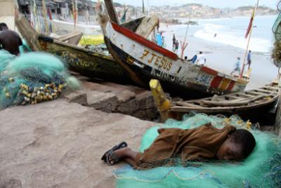 Wildlife Fishery Child Sleeping