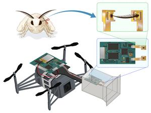 Researchers develop novel odor-sensing bio-hybrid drone by integrating biological odor sensors with robots