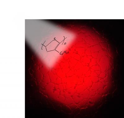 Optoceutics for Regenerative Medicine