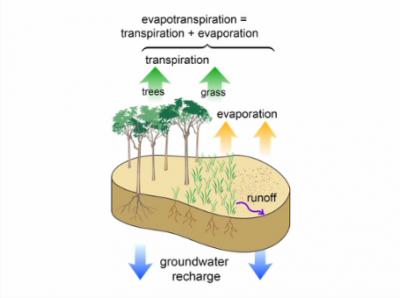 What is Evapotranspiration?