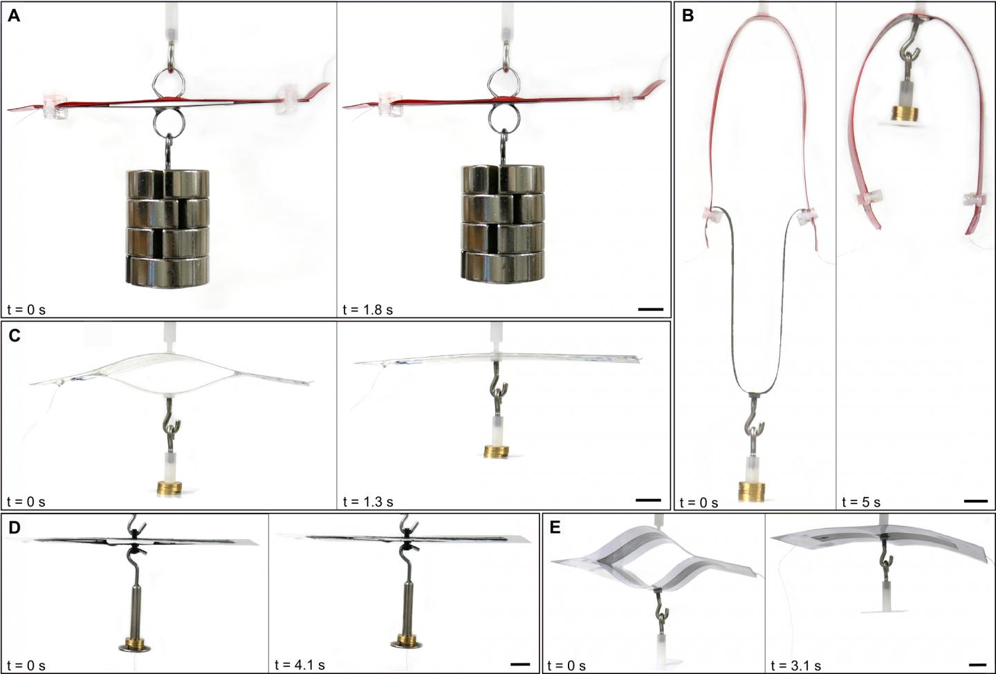 An Electrically-Powered Origam [IMAGE] | EurekAlert! Science News Releases
