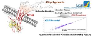 Visualizing polyphenol docking to gut receptor T2R46