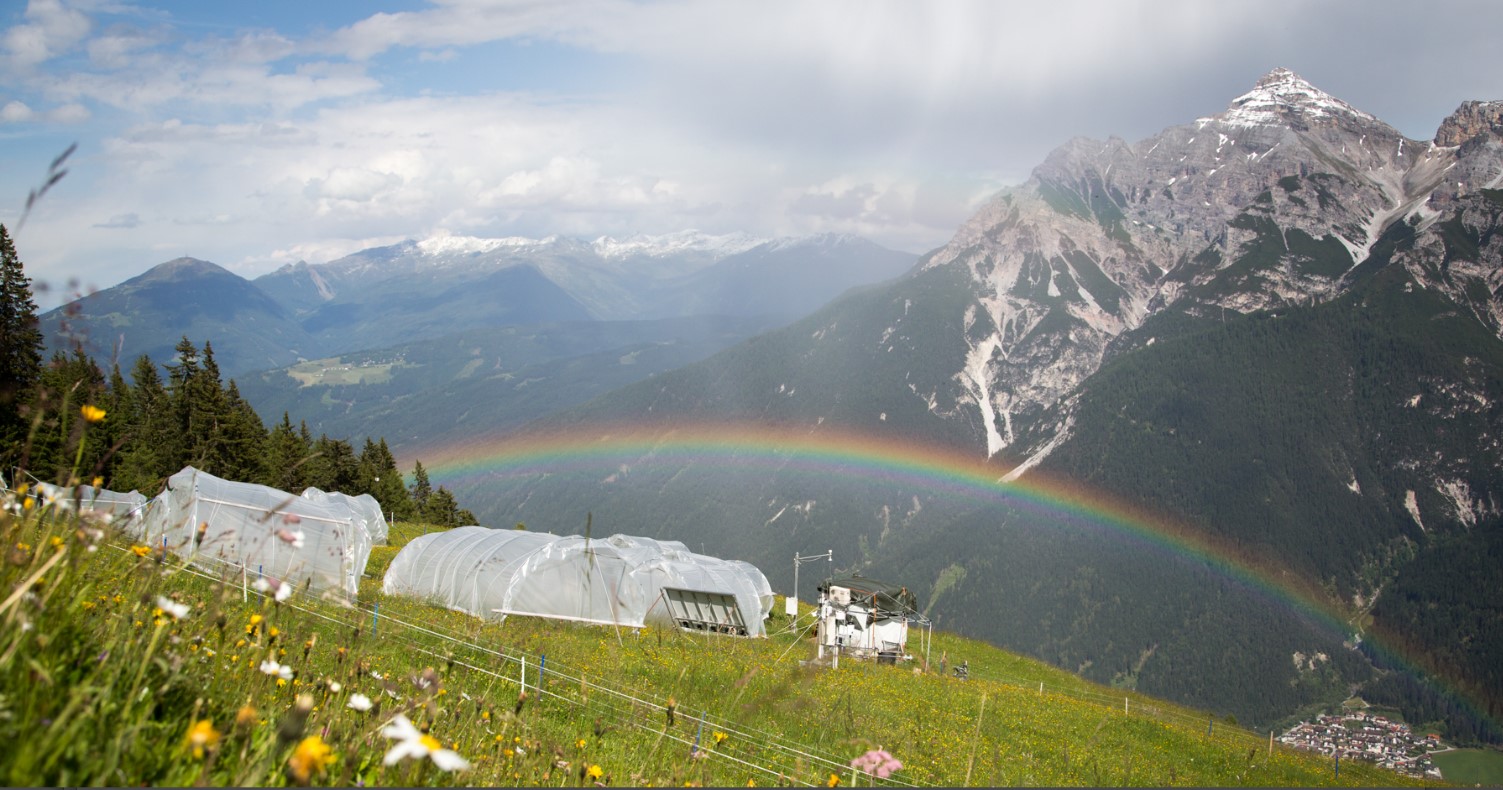 Drought_Experiment_Rainbow