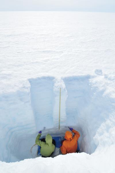 Sarah Doherty, Stephen Warren, University of Washington