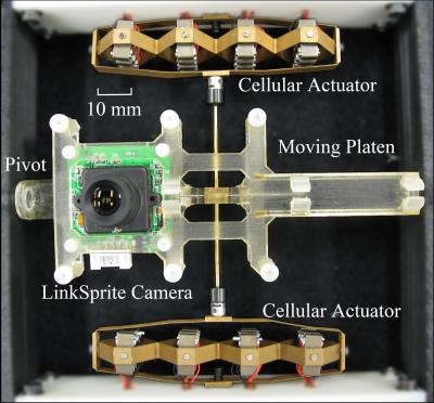 Piezoelectric Vision (3 of 3)