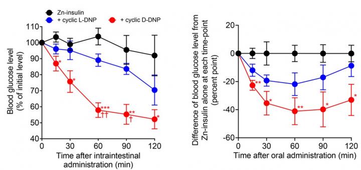 Hypoglycemic effect of DNP peptide synthesized from L- and D-amino acids and zinc insulin