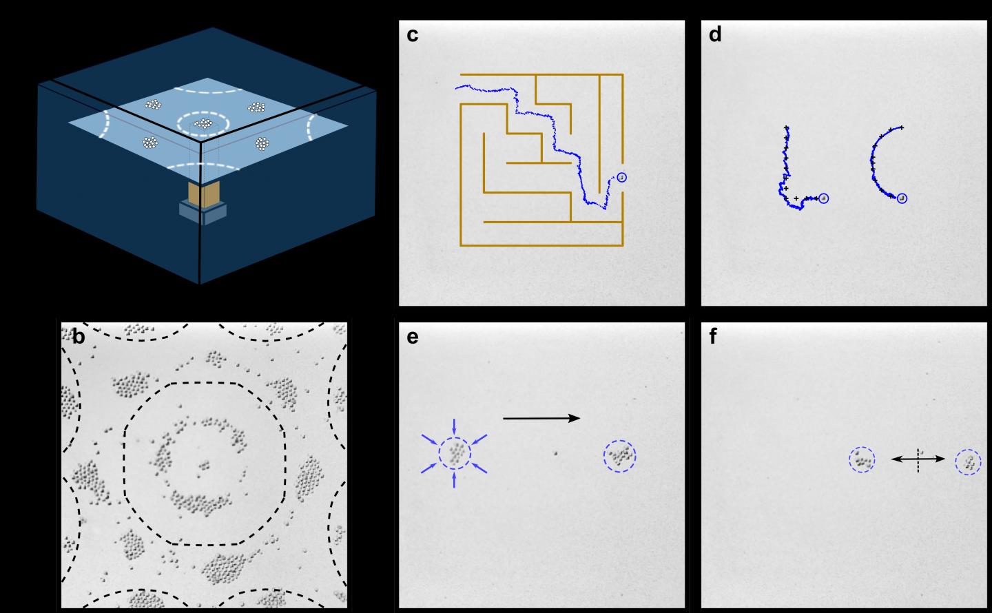 A Surprising Experiment Opens the Path to New Particle Manipulation Methods (1 of 2)