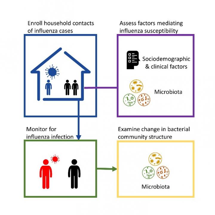 Respiratory Microbiome May Influence Your Susceptibility to Flu