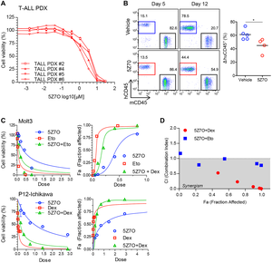 5Z7O is effective against human T-ALL PDXs and shows synergistic interaction with dexamethasone