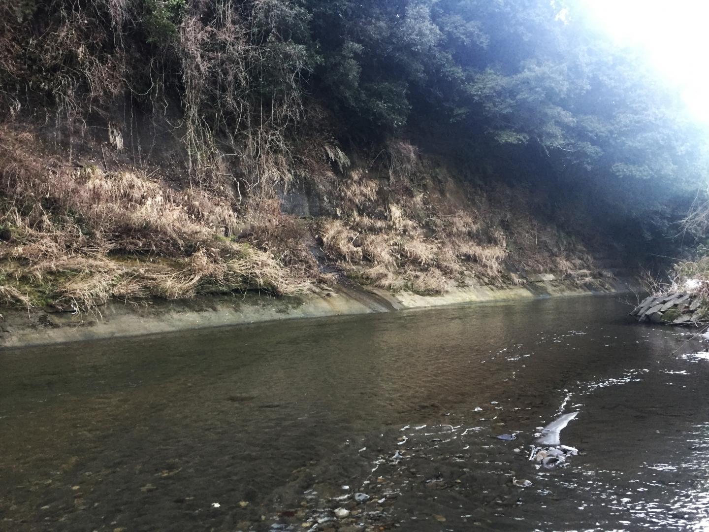 Yoro River Section, One of Chiba Composite Section