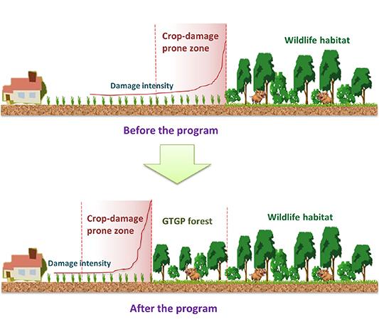 Hidden Costs of Re-Establishing a Forest