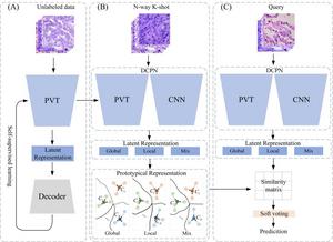 Process of the Dual-Channel Prototype Network (DCPN) Algorithm