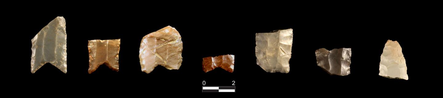 Northern Fluted Points from the Serpentine Hot Springs Archaeological Site