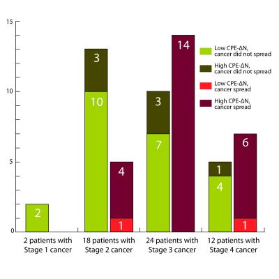 Tumor Protein Correlated with Cancer Spread