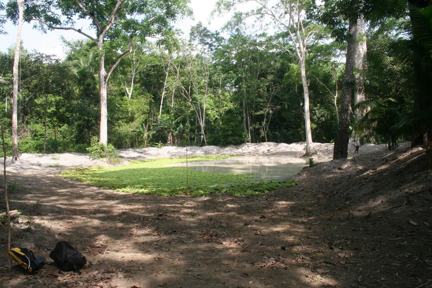 Water Storage Made Prehistoric Settlement Expansion Possible in Amazonia (1 of 3)