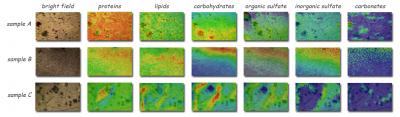 3 Biofilm Samples in FTIR