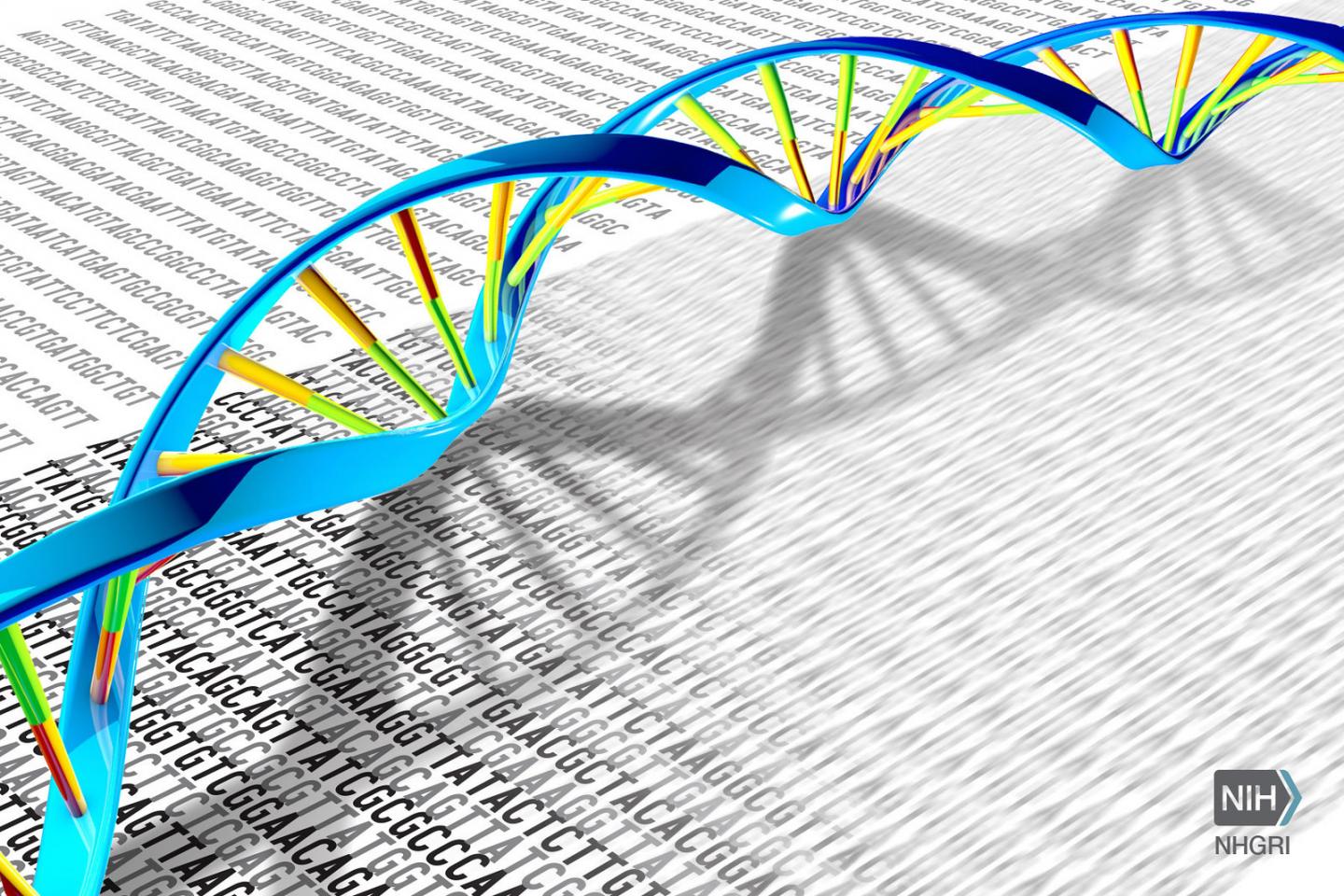 A DNA double helix